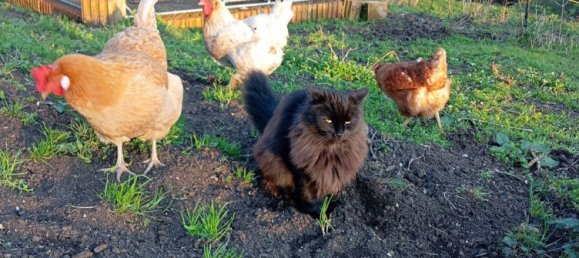 8 rooms Villa in Vobarno, Italy No. 251426 30