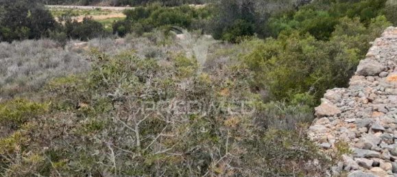 1560m² Land in Quelfes, Portugal No. 32587 6