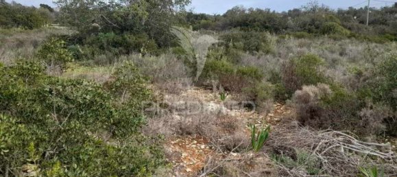 1560m² Land in Quelfes, Portugal No. 32587 4