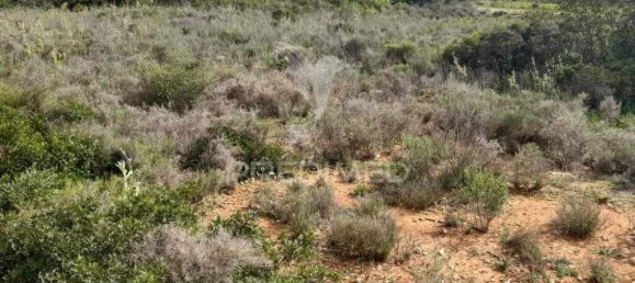 1560m² Land in Quelfes, Portugal No. 32587 7