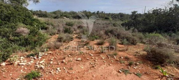 1560m² Land in Quelfes, Portugal No. 32587 2