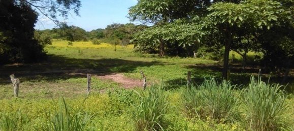 Земельный участок в Либерия, Коста-Рика № 1720 2