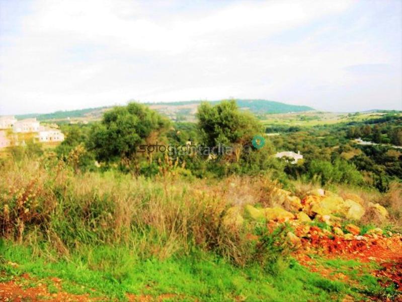  قطعة أرض في Cadiz, Spain 1704متر مربع رقم 105042