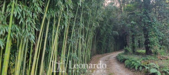 6-Zimmer Villa in Camaiore, Italy, Nr. 40205 49