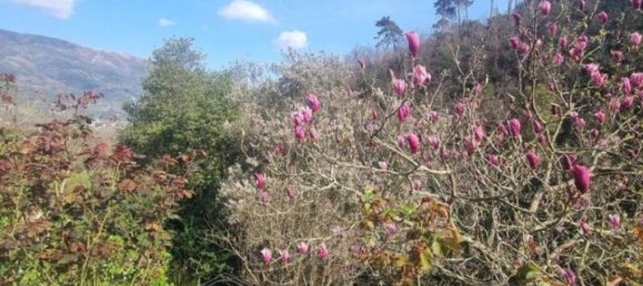 6-Zimmer Villa in Camaiore, Italy, Nr. 40205 60