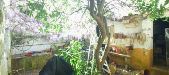 3 Schlafzimmer Haus in Alter do Chao, Portugal, Nr. 271269 10