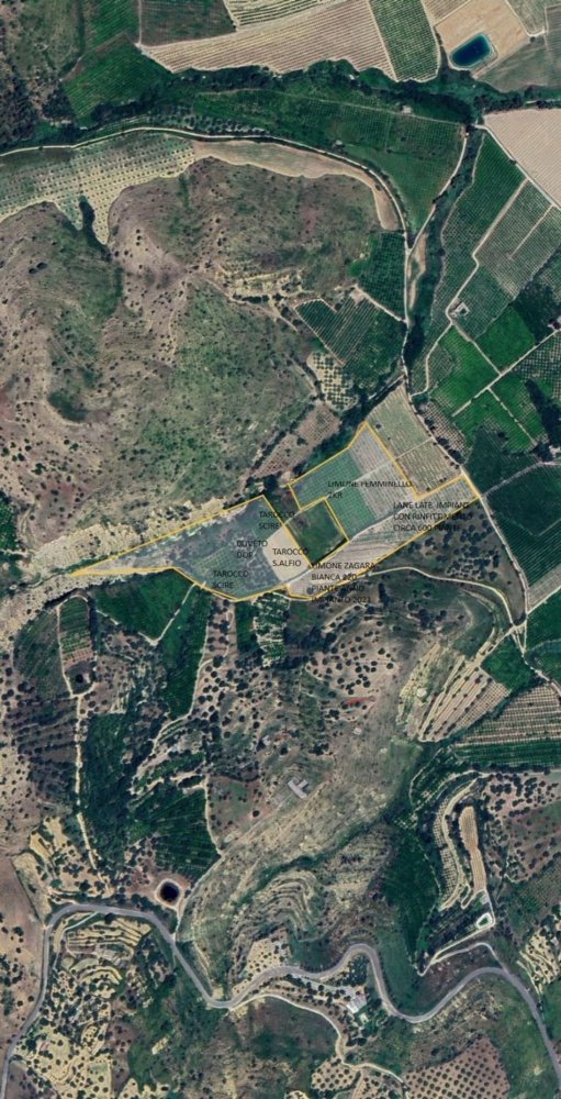 Земельный участок 50000м² в Минео, Италия № 253786