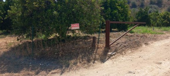 Земельный участок 50000м² в Минео, Италия № 253786 2