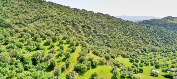 Дом с 10 комнатами в Чиниджано, Италия № 214892 32