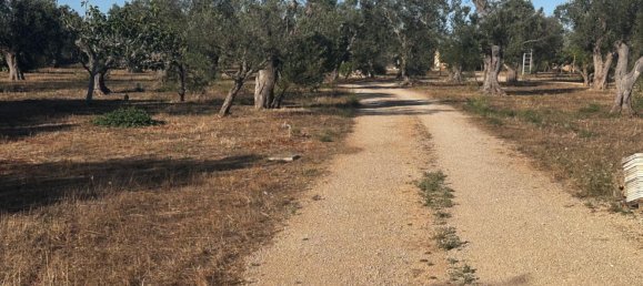 1 Schlafzimmer Villa in Copertino, Italy, Nr. 388448 27