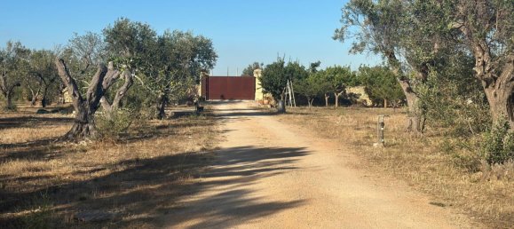 1 Schlafzimmer Villa in Copertino, Italy, Nr. 388448 29