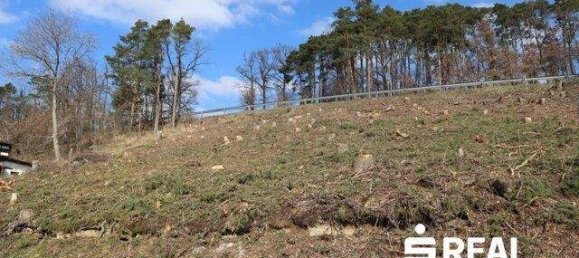 Terrain à Gallneukirchen, Austria No. 165588 2