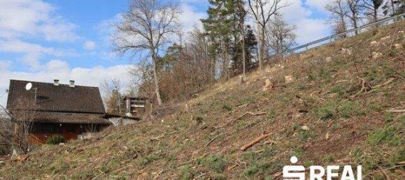 Terrain à Gallneukirchen, Austria No. 165588 4