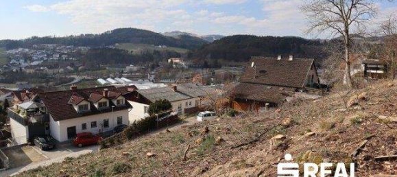 Terrain à Gallneukirchen, Austria No. 165588 3