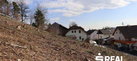 Terrain à Gallneukirchen, Austria No. 165588 5