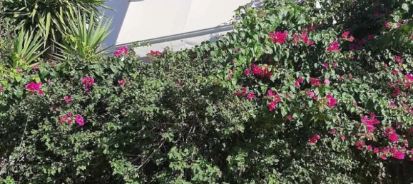 4 Schlafzimmer Property in Saronida, Greece, Nr. 52672 5