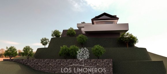 3456m² Land in La Quinta, Spain No. 123202 7