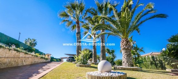 5 chambres Villa à Alicante, Spain No. 56348 46