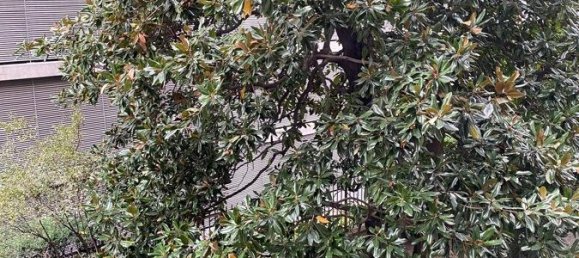 2غرفة شقة في Milan, Italy رقم 247712 25