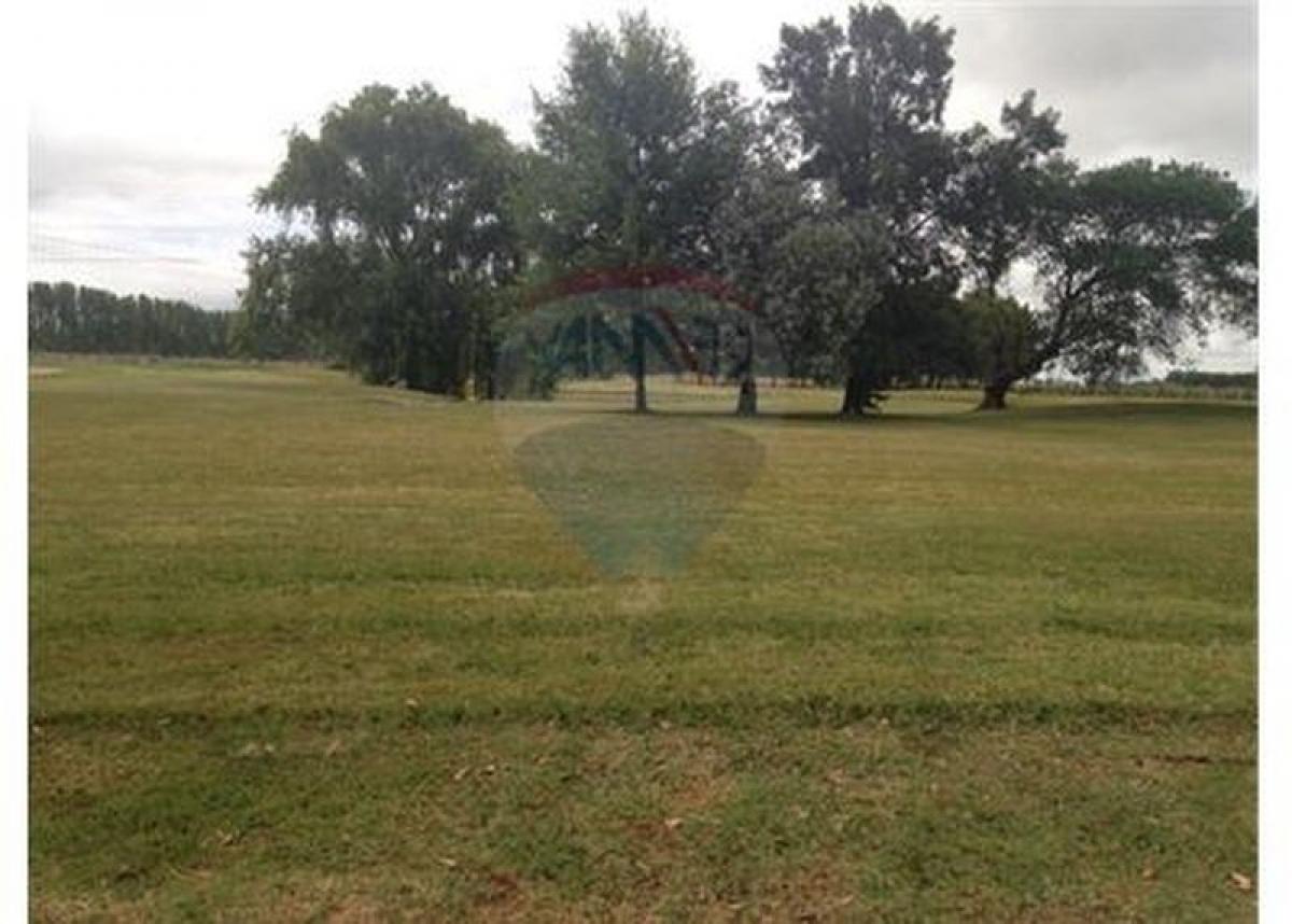 Земельный участок в Пилар, Аргентина № 50223