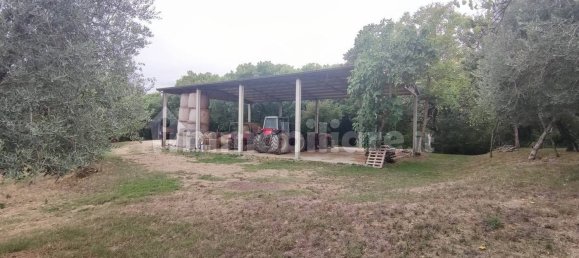 9 Schlafzimmer Haus in Sovicille, Italy, Nr. 223419 9