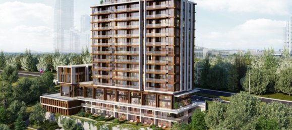 Estudio en Istanbul, Turkey No. 7560 6