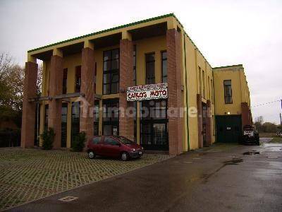 3-Zimmer Büro in Malalbergo, Italy, Nr. 86173