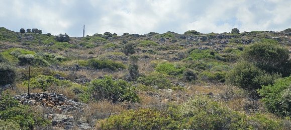  فندق في Lasithi, Greece 2100متر مربع رقم 2965 6