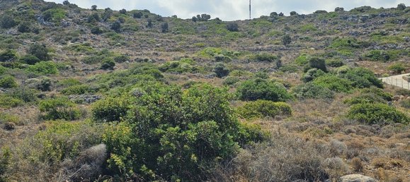  فندق في Lasithi, Greece 2100متر مربع رقم 2965 4