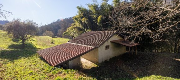 Casa T3 em Fosciandora, Italy N.º 69164 21