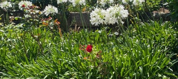 408m² Land in Maia, Portugal No. 190419 8