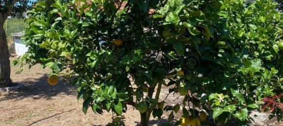 408m² Land in Maia, Portugal No. 190419 6