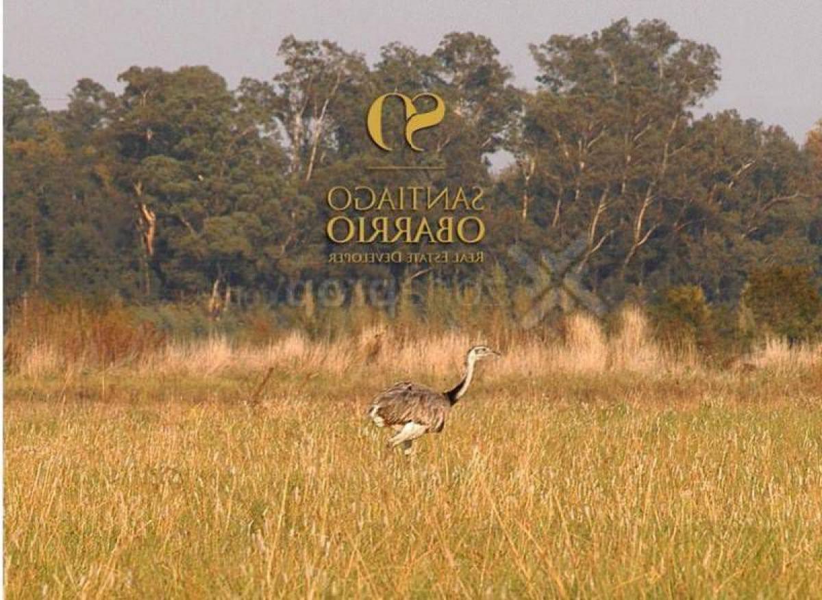  Land in Buenos Aires, Argentina No. 111156
