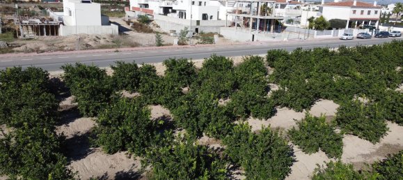 3 bedrooms Villa in Daya Nueva, Spain No. 12369 26