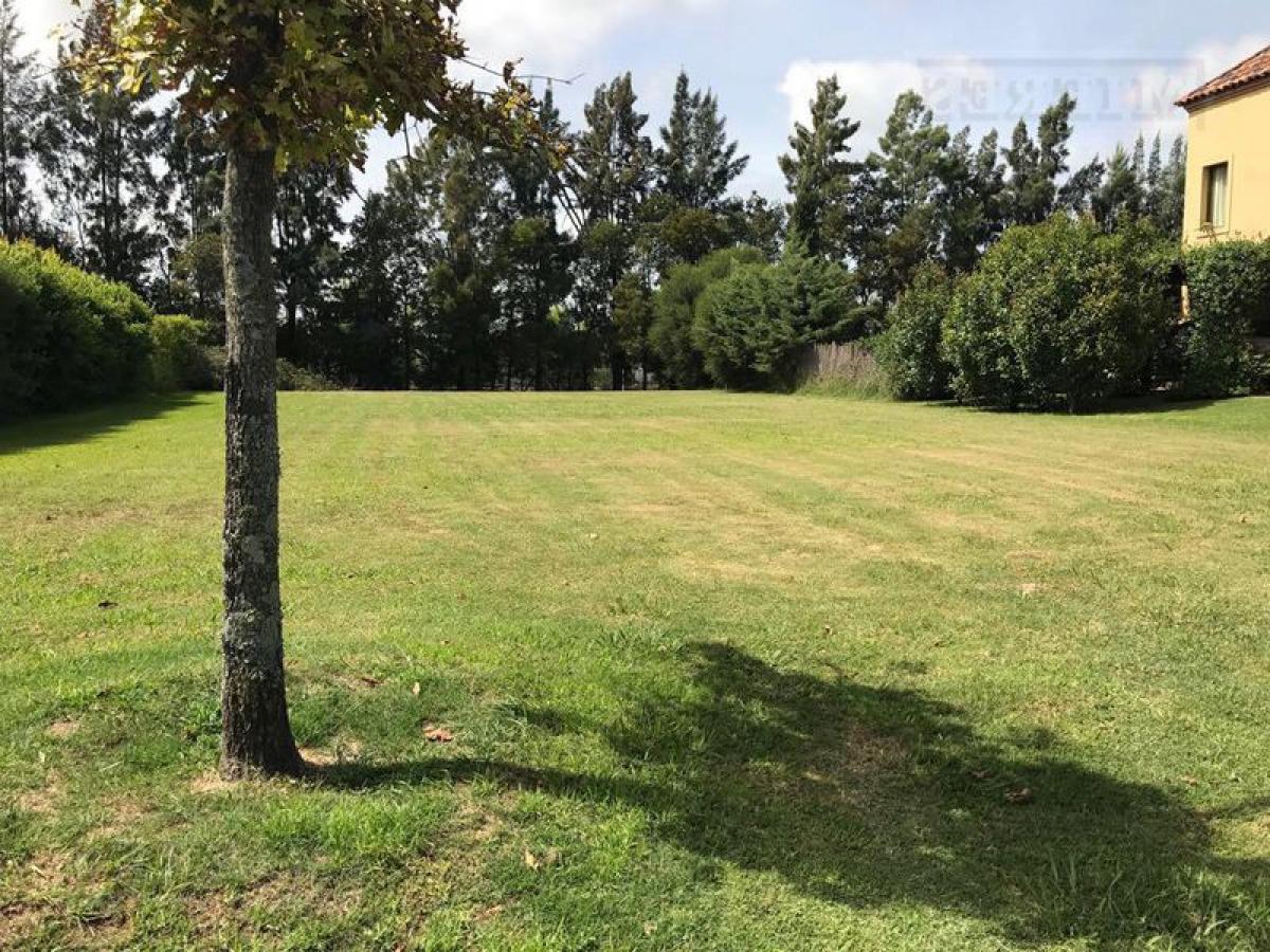 Земельный участок в Тигре, Аргентина № 40624