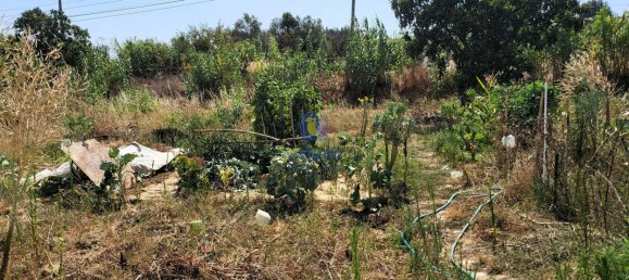 2120m² Land in Alcoentre, Portugal No. 231282 10