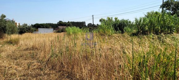 2120m² Land in Alcoentre, Portugal No. 231282 6