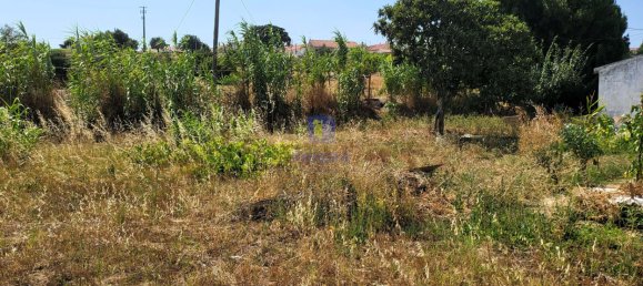 2120m² Land in Alcoentre, Portugal No. 231282 7