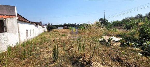 2120m² Land in Alcoentre, Portugal No. 231282 8