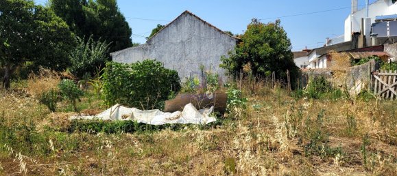 2120m² Land in Alcoentre, Portugal No. 231282 5