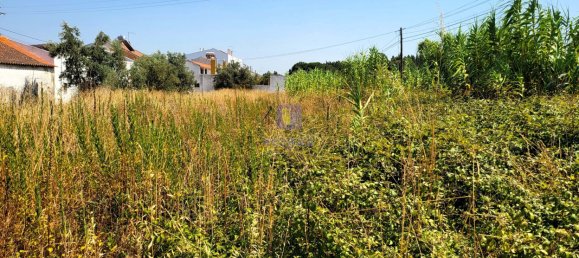 2120m² Land in Alcoentre, Portugal No. 231282 3