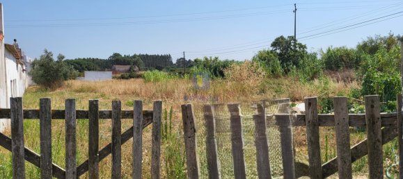 2120m² Land in Alcoentre, Portugal No. 231282 11