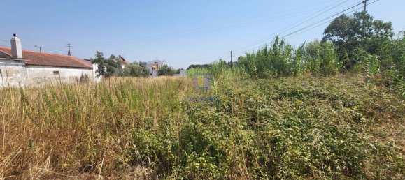 2120m² Land in Alcoentre, Portugal No. 231282 2