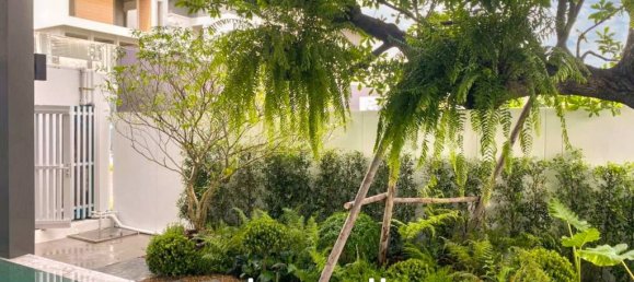 4 bedrooms Cafe / restaurant in Suan Luang, Thailand No. 23488 8