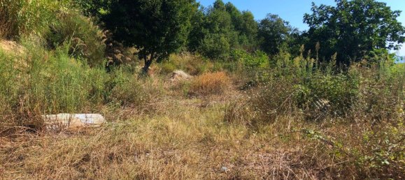 12-salle Maison à San Benedetto del Tronto, Italy No. 86913 9