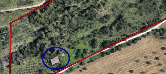 12-salle Maison à San Benedetto del Tronto, Italy No. 86913 3