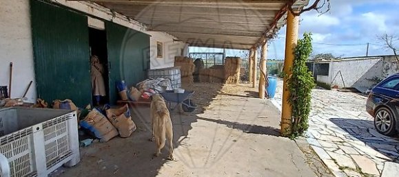 3 bedrooms House in Ourique, Portugal No. 47538 42