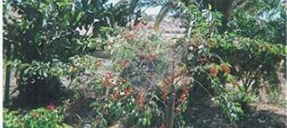 3 bedrooms House in Ourique, Portugal No. 47538 9