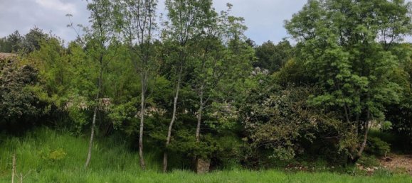 6 غرف نوم منزل في Madrid, Spain رقم 189195 15