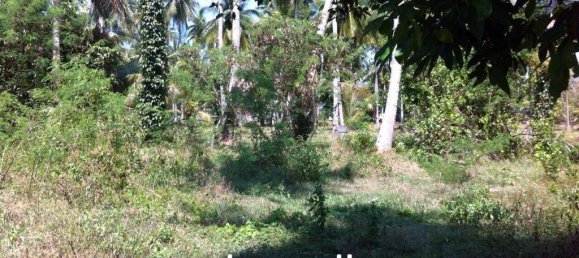  Commercial property in Ko Samui, Thailand No. 17486 5